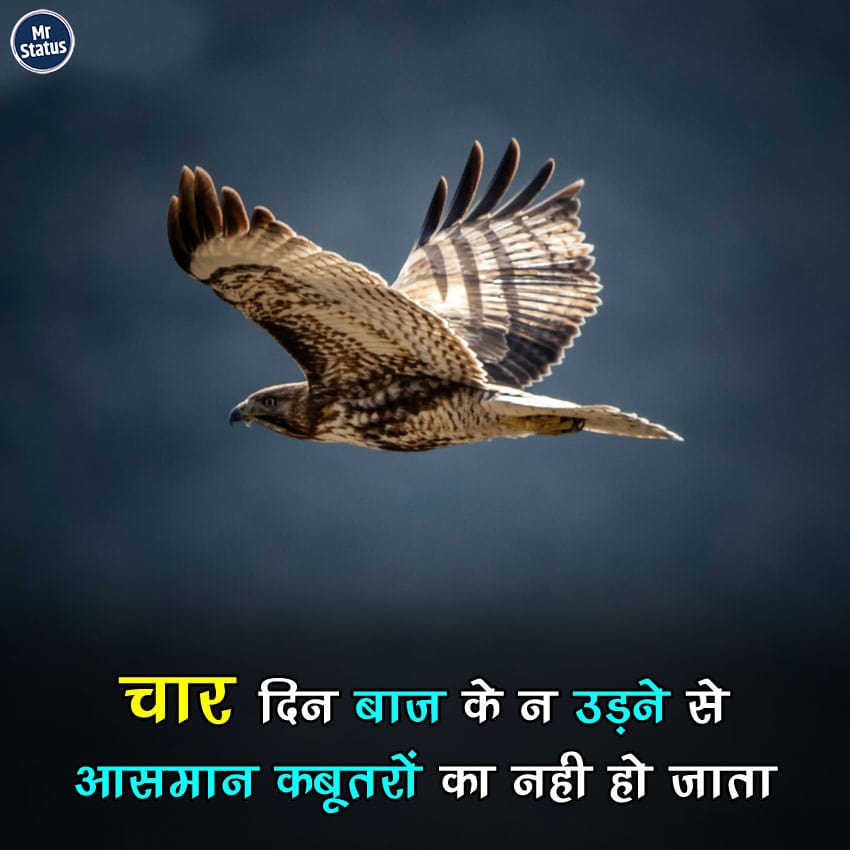 Download free status image